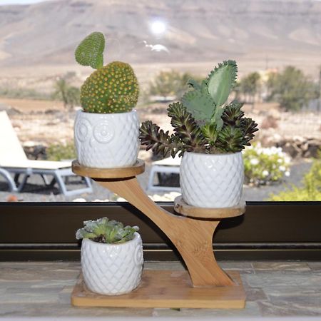 Casa Vista Oasis En Fuerteventura Villa La Guirra Eksteriør billede