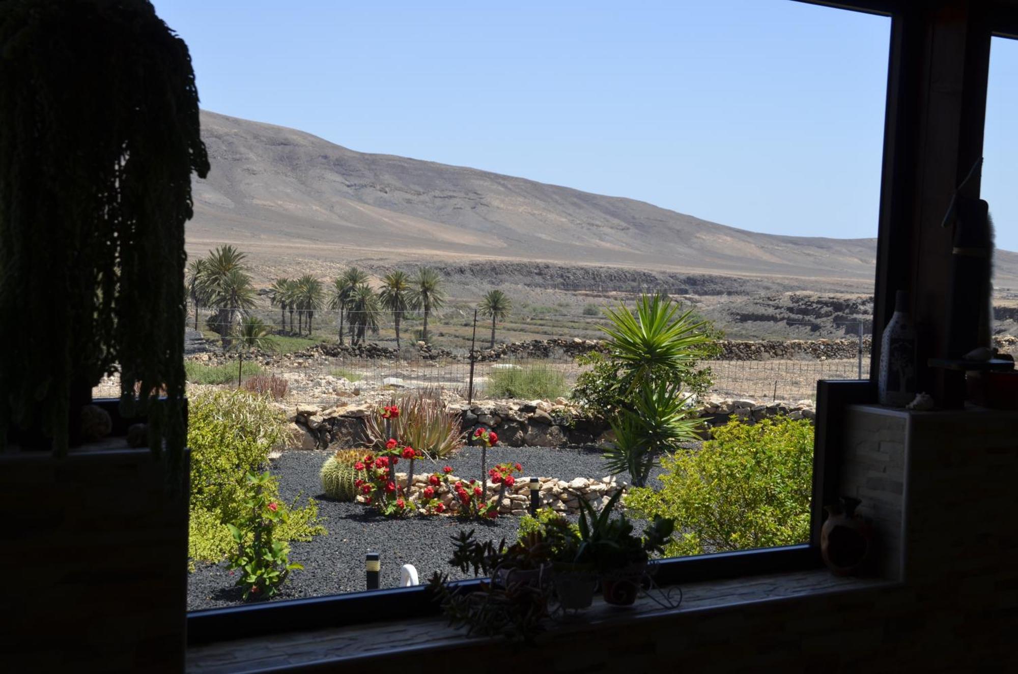 Casa Vista Oasis En Fuerteventura Villa La Guirra Eksteriør billede
